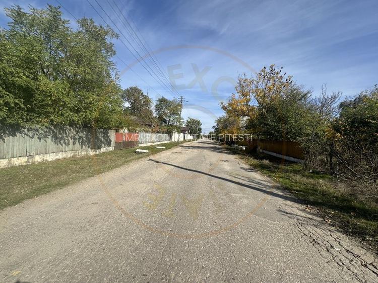 Teren 5216 mp la 2 pasi de autostrada A1 - com. Ratesti - 9
