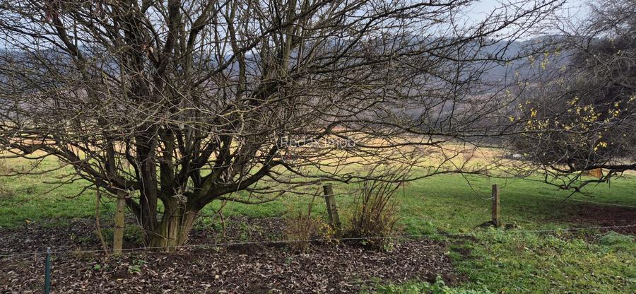 Teren intravilan Cristian zona Avicola - 5