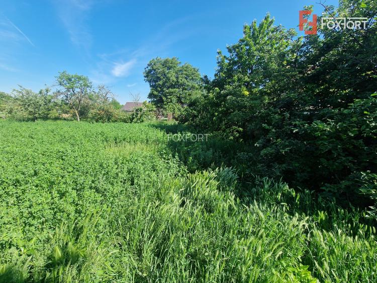 Casa individuala cu 3 camere si teren de 647 mp in Mosnita Veche - 17