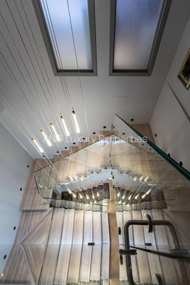 Pache Protopopescu | Casă 12 camere | Arhitectură deosebită - 18