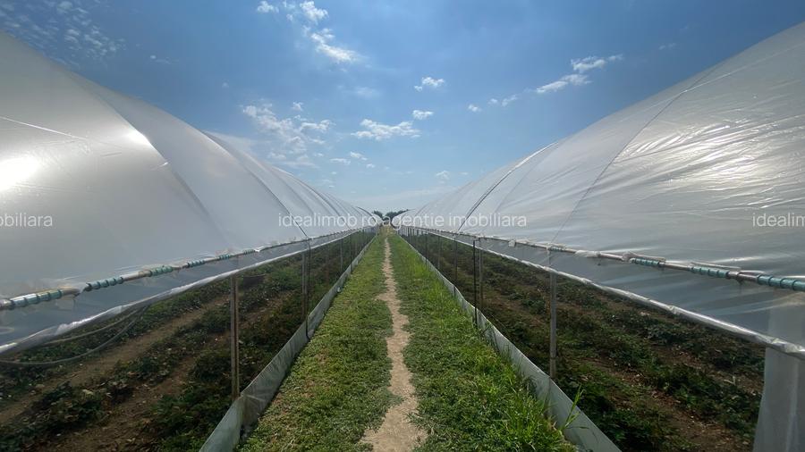 Teren extravilan S= 5000 mp, Udeni-Zavoi, Arges - 3