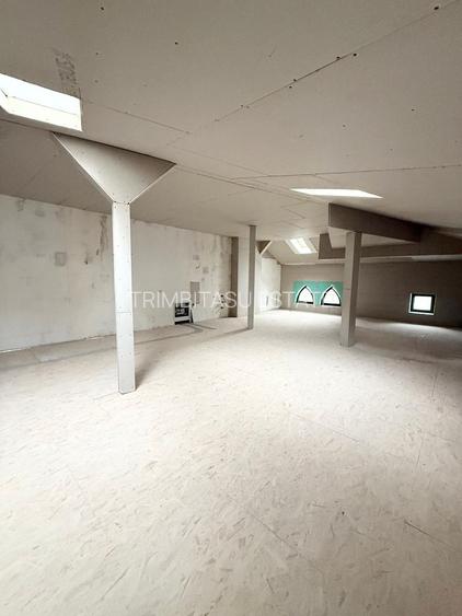 Vila individuala Icoanei Dacia - 19