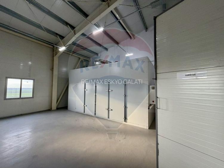 Teren agricol 13,1 ha + Hală 700 mp + Utilaje Agricole - Piscu, Galati - 10