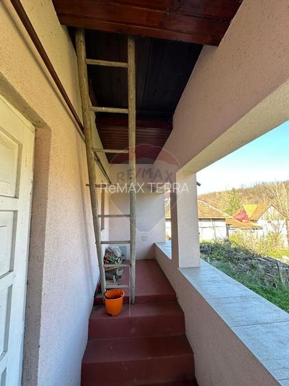 DE VANZARE- GOSPODARIE cu 95 arii teren - 13