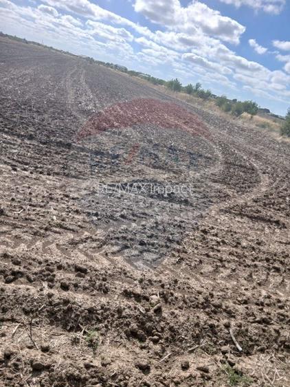 Teren de vanzare 4500mp Strada Rasaritului Darvari Ciorogarla A0 - 5