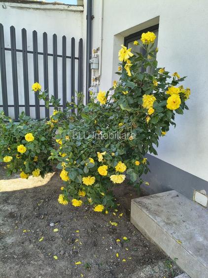 De inchiriat! Duplex nou, zona centrala - 25