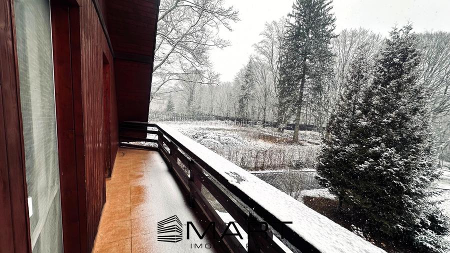 Casa de vacanta cu teren 2000mp Valea Avrigului - 4