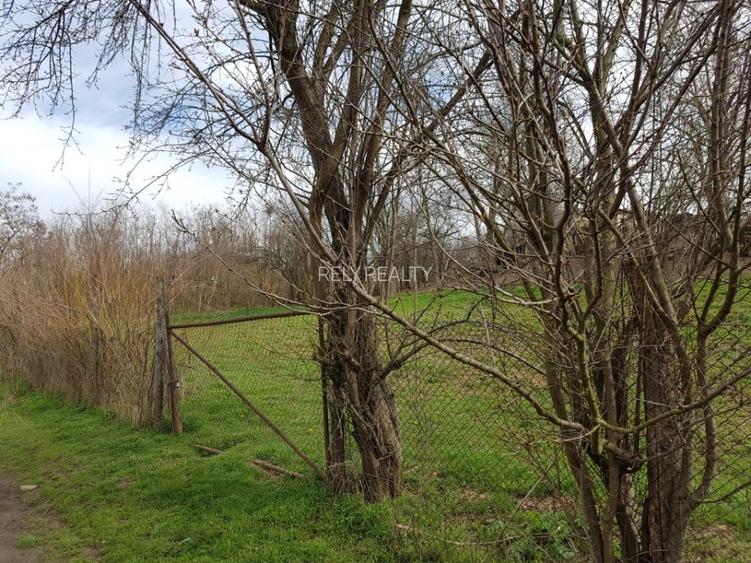 Vanzare teren intravilan, Lacul Sarulesti, 1.000 mp, comision 0% - 5