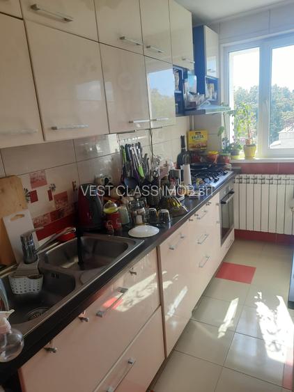 Drumul Taberei Favorit - 2