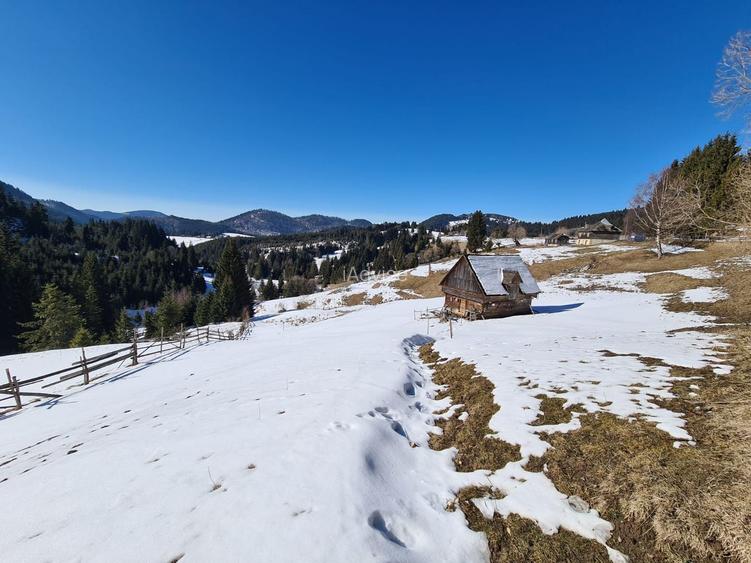 Teren situat langa padure de Vanzare - 3