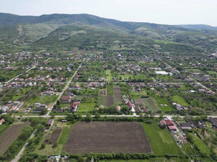 Teren Intravilan de 3,090 mp în Cuvin - 12