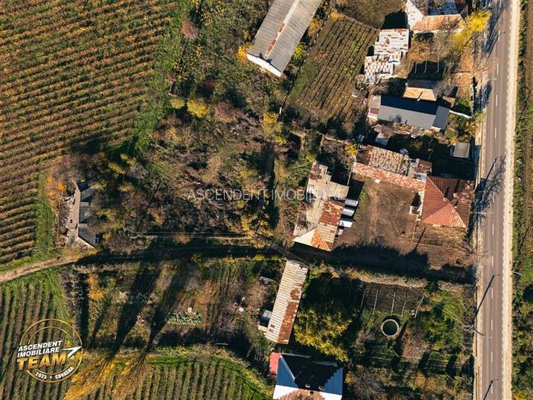 FILM! Domeniu de 4.000 mp intravilan+ casa boiereasca autentica,in podgoriile Od - 13