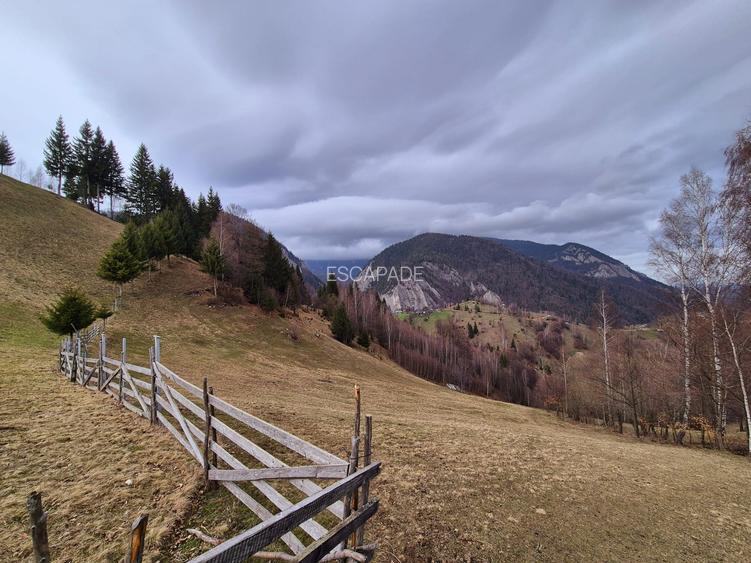 Teren cu energie speciala, Pestera/ 13570mp extravilan/Comision 0 % - 11