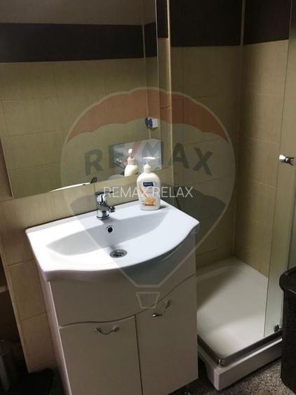 De inchiriat apartament cu 1 camera - Podu Ros - 8