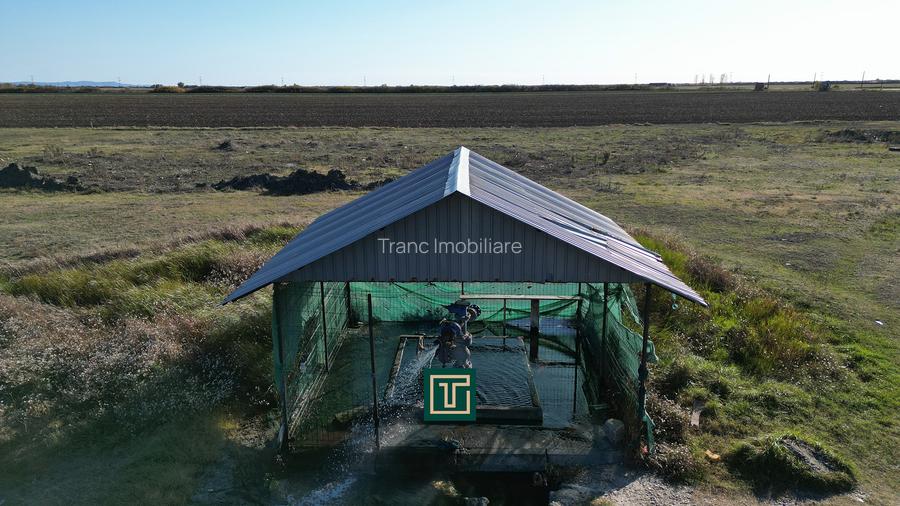 PUT GEOTERMAL NATURAL PE UN TEREN DE 36.476 MP IN SOCODOR, ARAD - 3