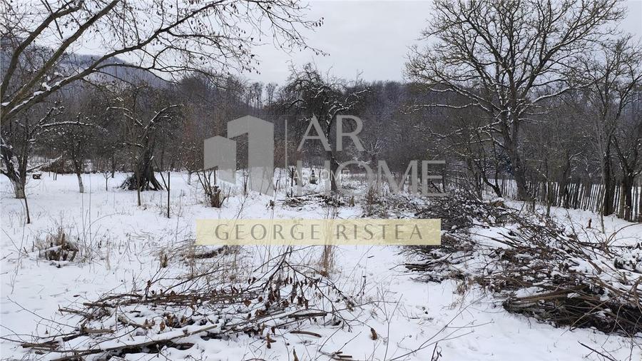 Teren 3310 mp + Casa Batraneasca Bobolia - 8