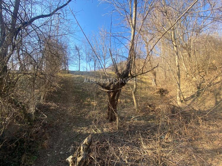 Teren de vanzare 1.622 mp Cornu de sus - 4