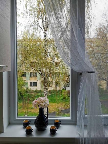 Apartament 2 camere, luminos, lângă Grădina Botanică - 10