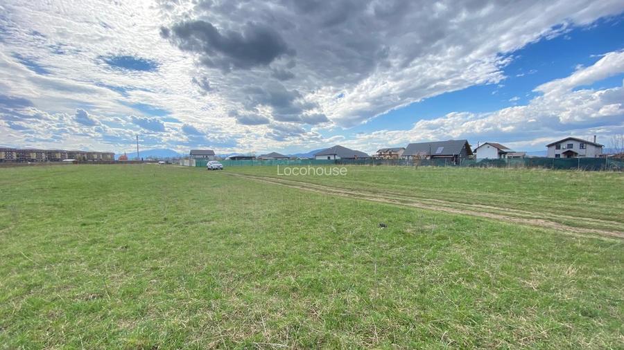 Teren Sanpetru Drumul cu Plopi - 4