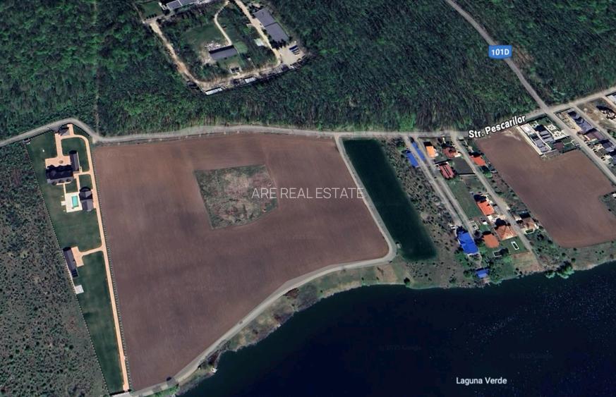 Teren de vânzare cu acces direct la lac, între pădure și apă – Moara Vlăsiei - 3