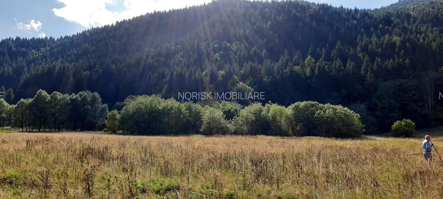 Teren Intravilan | Schitu Tarcău | 2089MP | Izvor | Platou - 9