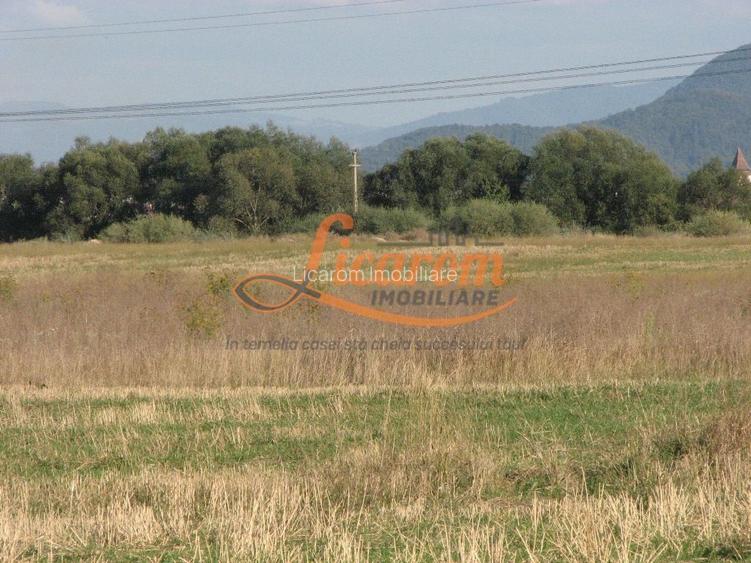 Codlea teren constructii industriale sau logistice 8 ha pana la 24 Ha - 15