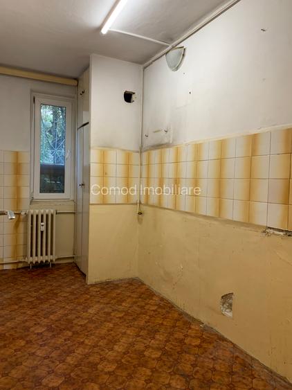 Garsoniera Teiul Doamnei - 6