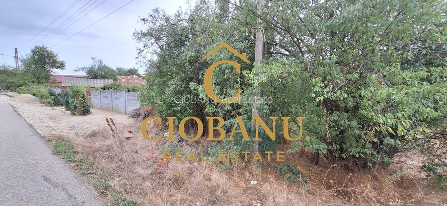 Teren Intravilan/Extravilan de vanzare in Bradestii Batrani - 4