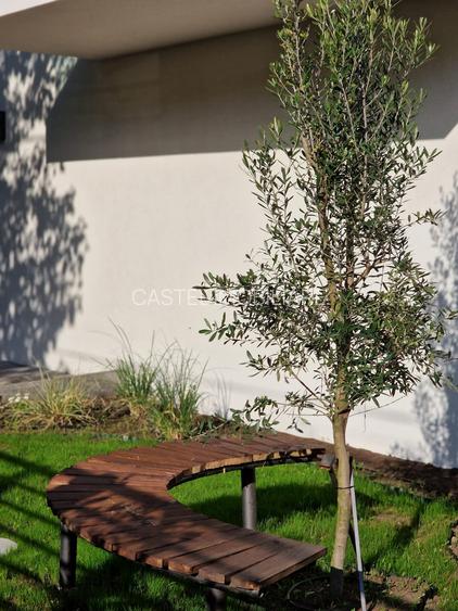 București Noii - Str Renașterii nr 29 imobil Boutique 2 camere pentru birou - 6