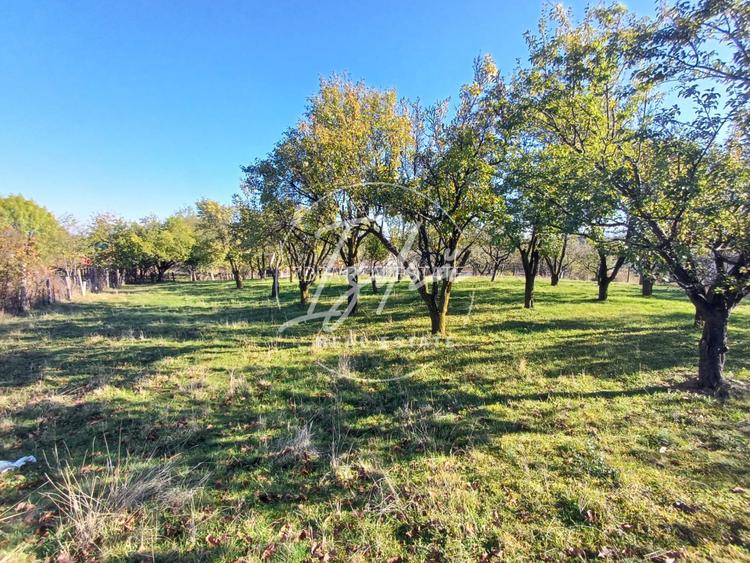 Parcelele cu cele mai bune preturi din judet - 3