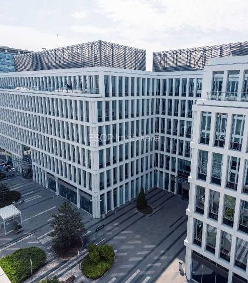 Swan Office Park cladirea Kingston, Nord, 200 - 3500 mp  0% comision! - 9