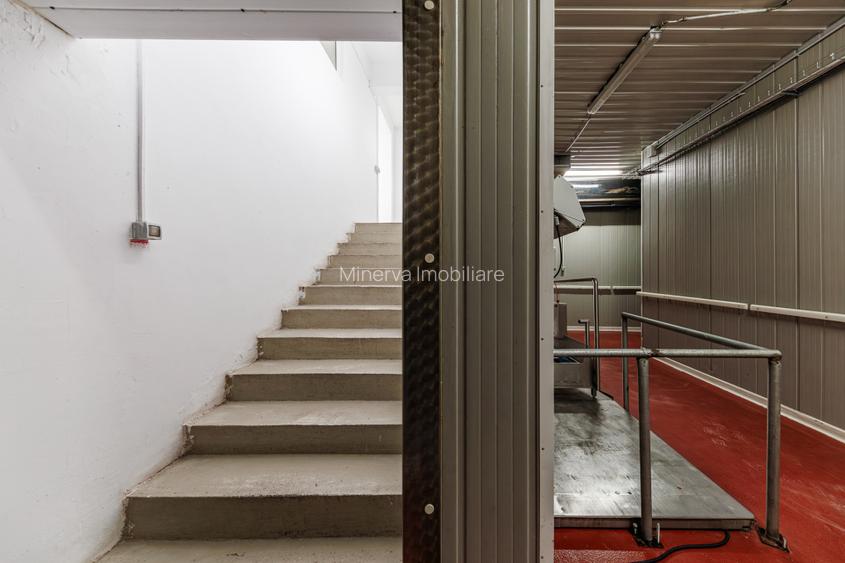 Hala depozitare, Dumbravița Timis, 1285 mp, Farma GDP Medical Cosmetice 6000 Eur - 25