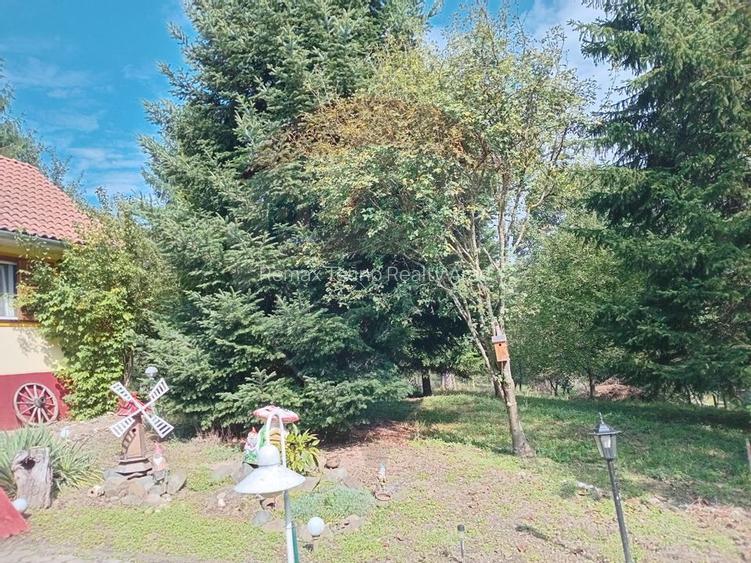 OCAZIE!!! CASA SUPERBA cu teren in JULITA jud Arad in M tii Zarandului - 45