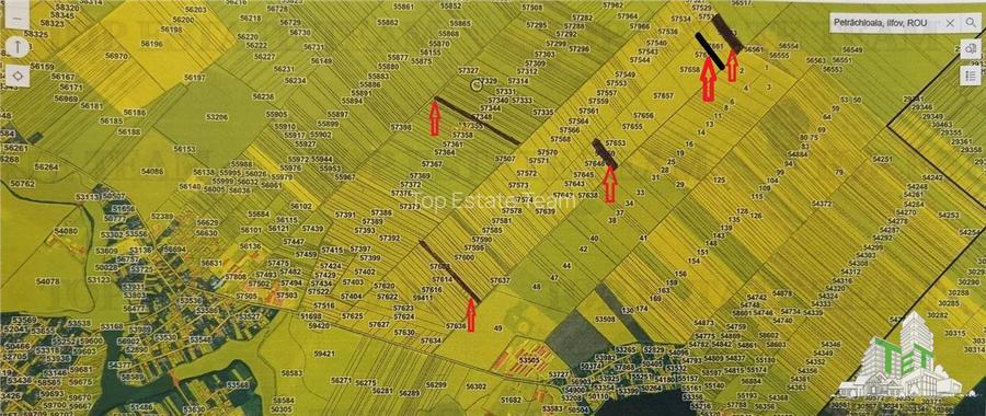 Oferim spre vanzare 6 loturi de teren extravilan (agricol) in Petrachioaia ILFOV - 8