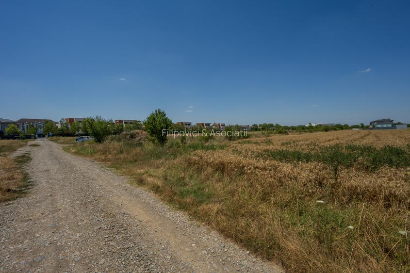 OTOPENI - CARPATILOR, TEREN 1371 MP! - 7