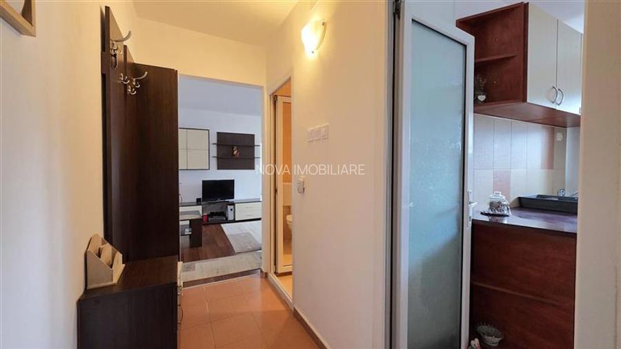 Astra, apartament mobilat si utilat - 15