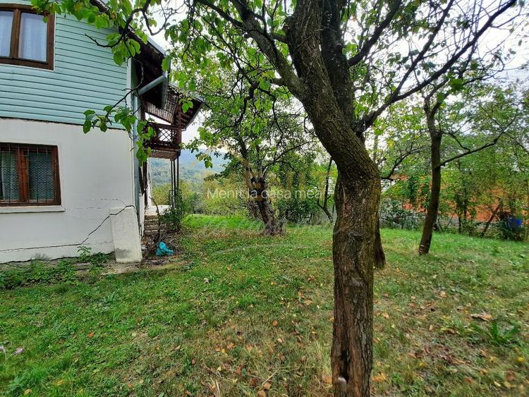 Drajna de Jos 5000 mp Teren +Casa demolabila ! - 4