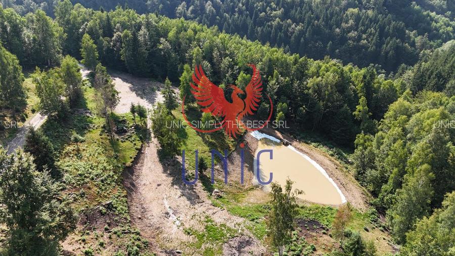 18000 mp de natura pura ,Lupeni, langa Straja - 3