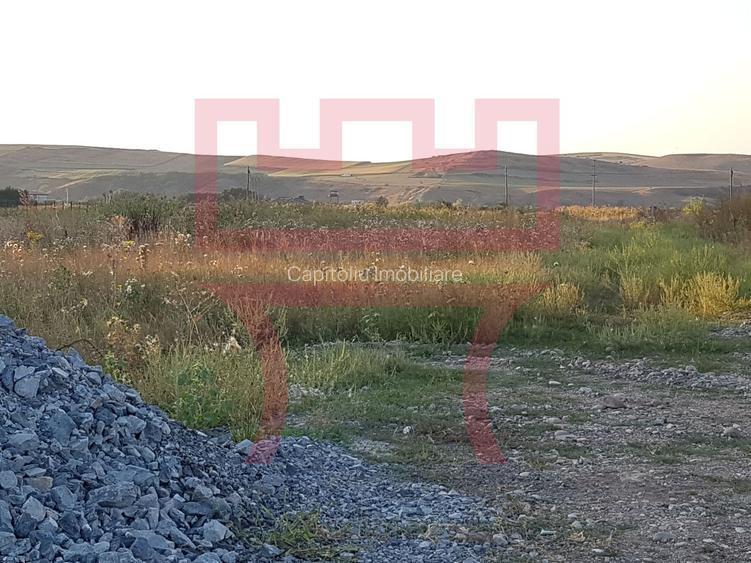 Vanzare teren pentru hala in zona strazii Valea Chintaului PUZ aprobat - 3