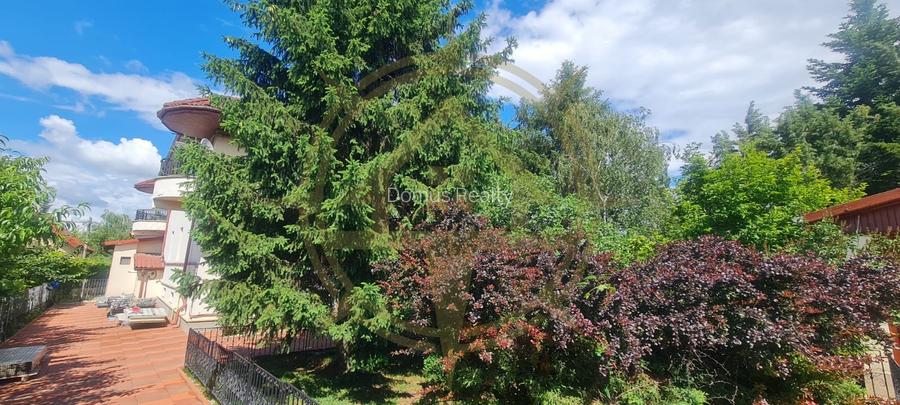 DOM00443 - Vila  la lac cu ponton si piscina Snagov - 5