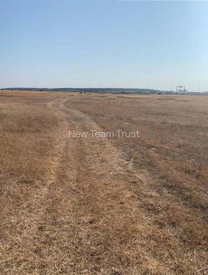 Vanzare  Teren  Pipera - 2