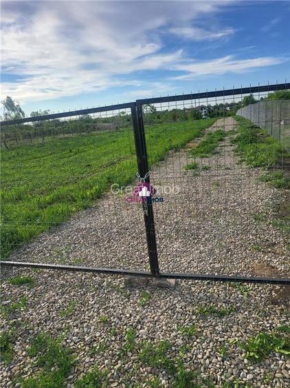 Teren 5600 mp Snagov Lac - 6