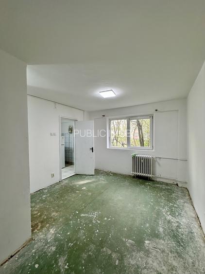 Lacul Tei, langa Facultatea de Constructii - 4