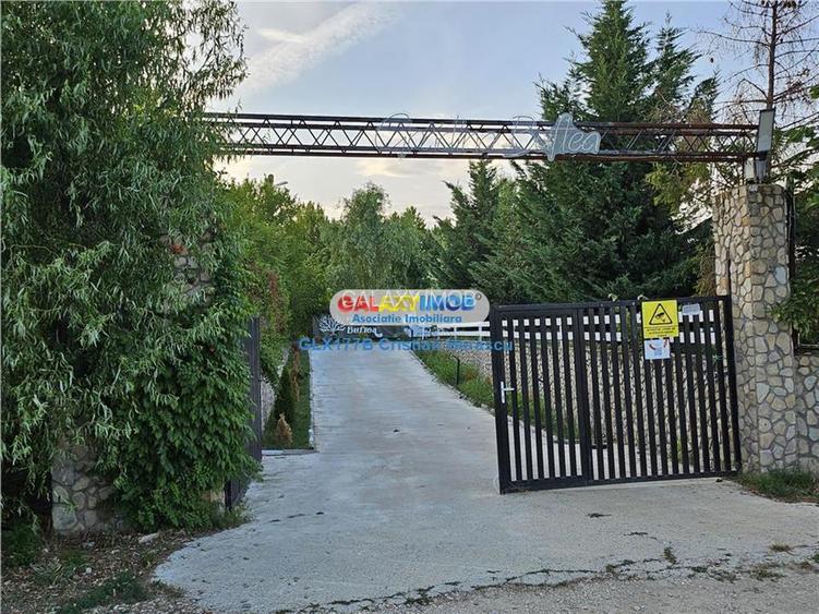 Buftea Flamanzeni 843 mp Str Independentei - 8