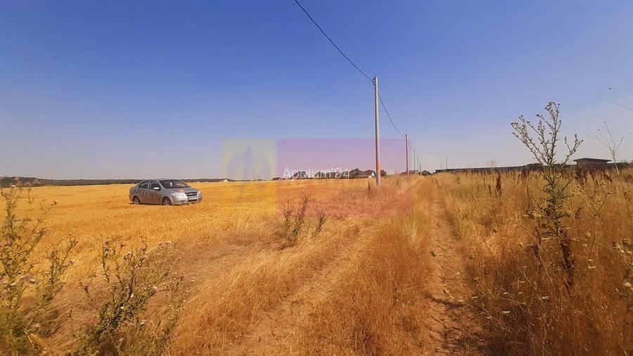 Teren pentru casă/case în Brănești pe strada Toporași - 16