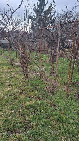 Casa cu teren generos in zona Gheorgheni - 10