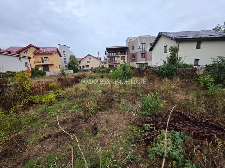 B-ul Nicolae Grigorescu, chiar la pasajul peste Spaliul Unirii, - 4