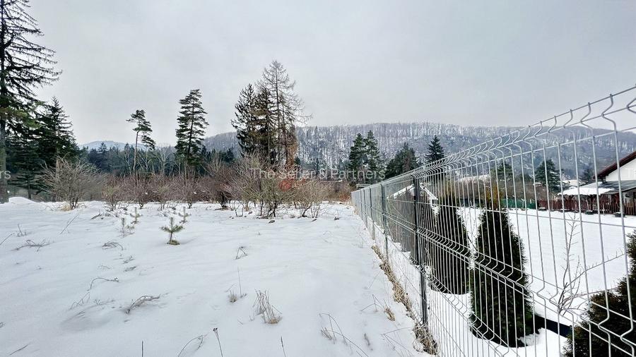 Teren intravilan - Sacele - Brasov - 5