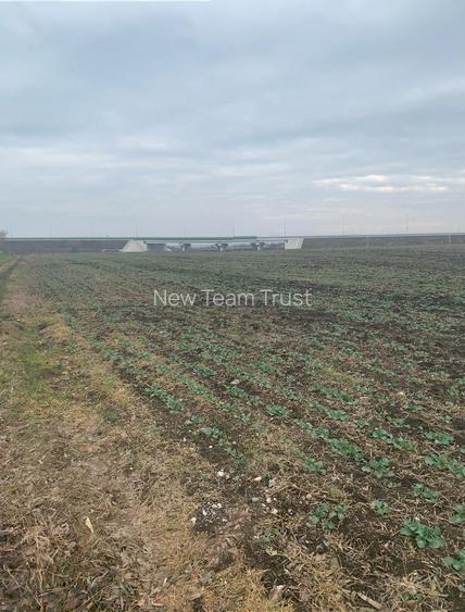 Vanzare Teren Intravilan Tunari - Dimieni Autostrada A0 - Tamasi - Snagov - 7