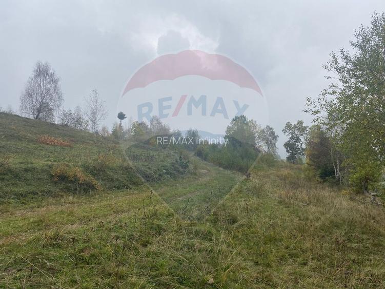 Teren de vanzare 8119 mp Calatele Padure.Muntii Apuseni - 14